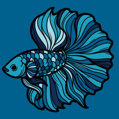 betta fish