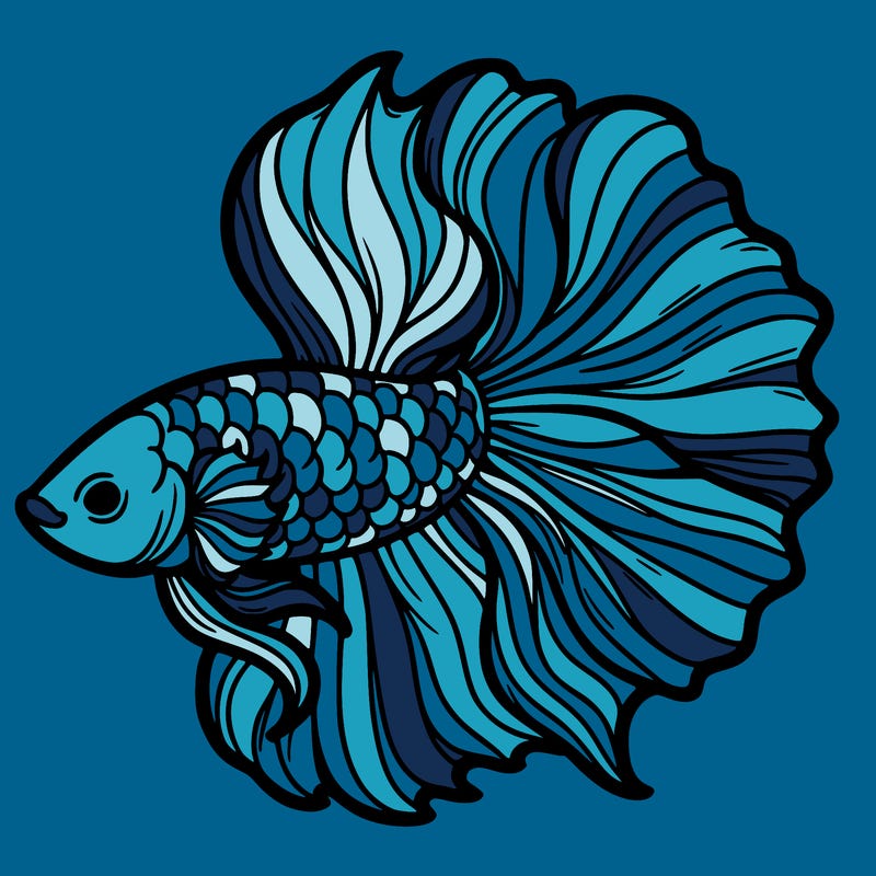 betta fish