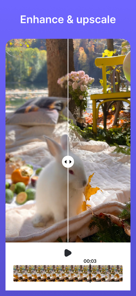 Before and after comparison showing video upscaling and enhancement of a white rabbit in a garden