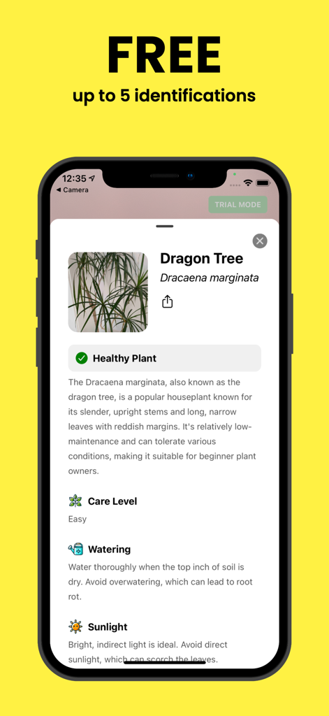 PlantScan - Detect & Diagnose - Interface do aplicativo PlantScan mostrando a identificação de uma Dracena com dicas de cuidados e um banner promocional para 5 identificações gratuitas.