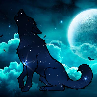 animals_36