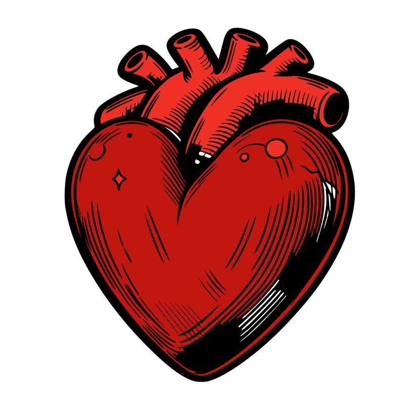 realistic heart