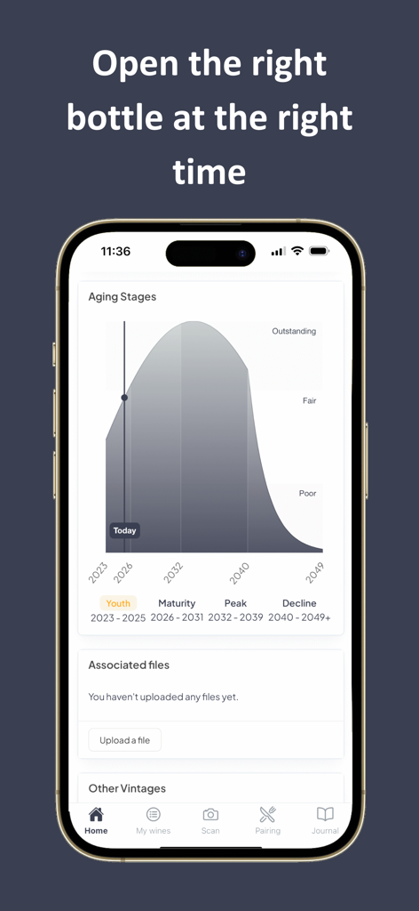 Graph showing wine aging stages and peak maturity in the Viniou app