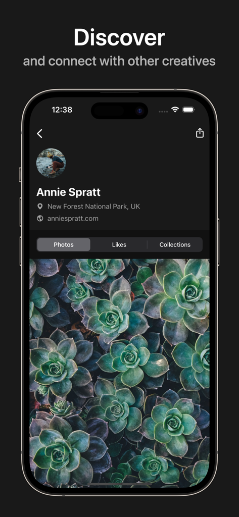 Unsplash - Página de perfil de la aplicación Unsplash que muestra el portafolio de un fotógrafo con imágenes de suculentas.