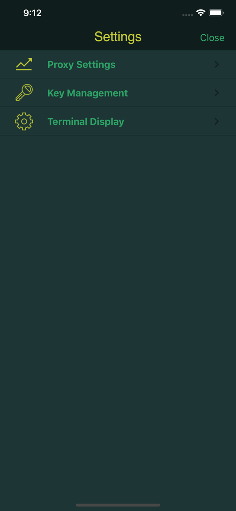 The settings menu of iTerminal Pro showing options for Proxy Settings, Key Management, and Terminal Display.