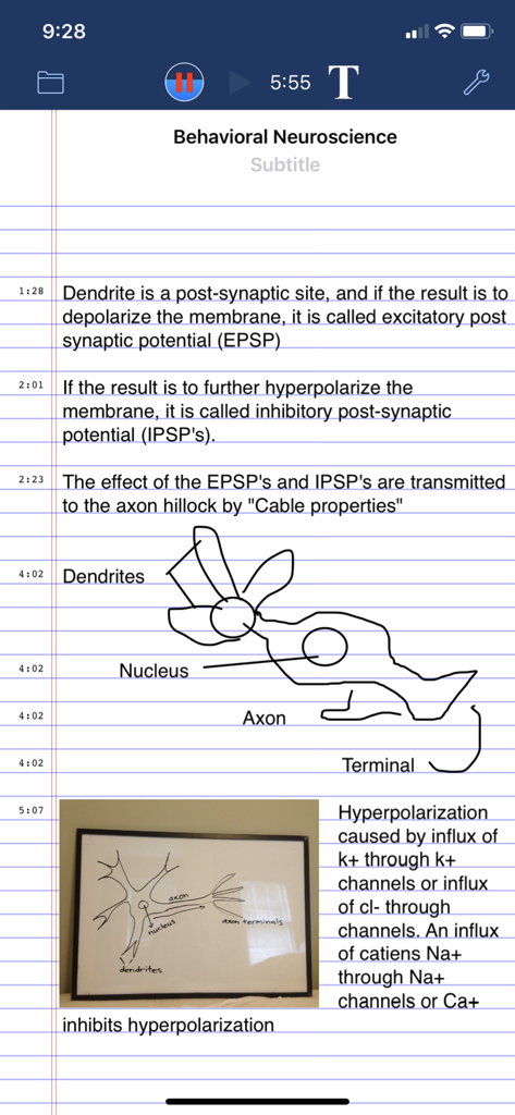AudioNote™ - AudioNote app interface showing text and hand-drawn diagrams synchronized with audio recording for a neuroscience lecture.