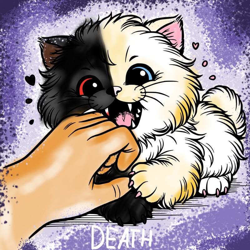 very fluffy kitten biting a hand with it’s fangs