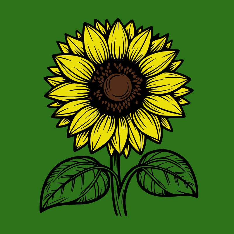 sunflower