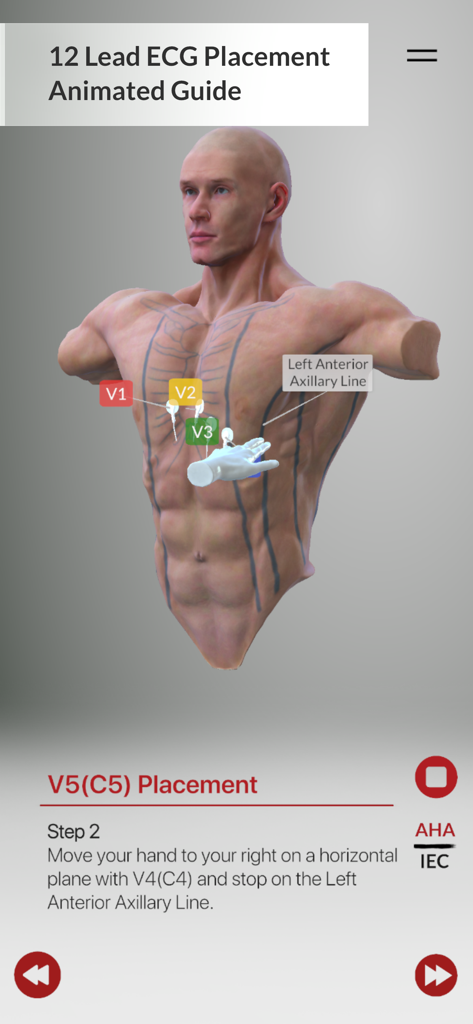 3D interactive guide showing V5 lead placement on a male torso for ECG training