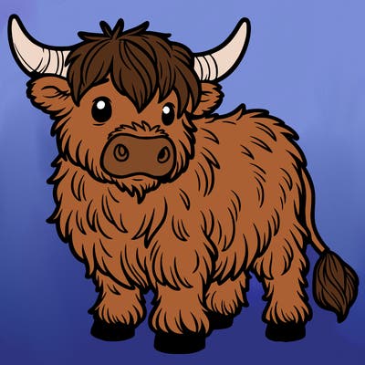 highland cow