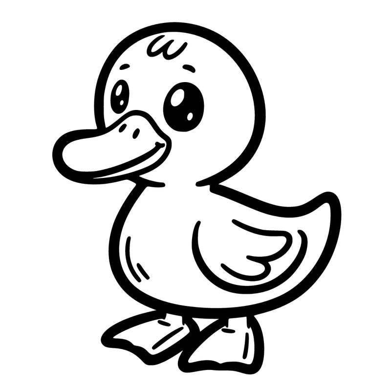 duck