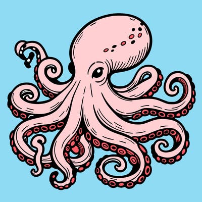 octopus