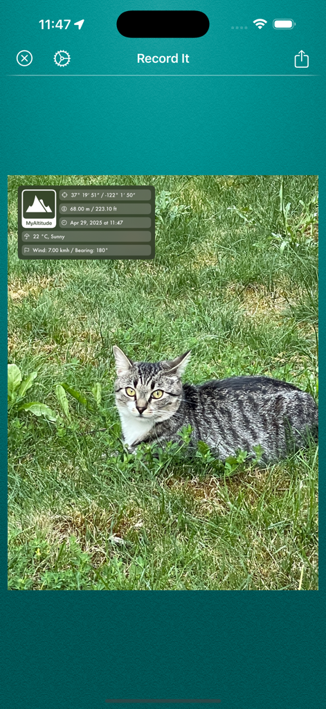 My Altitude - Screenshot of the Record It feature in the My Altitude app showing a photo watermarked with elevation and GPS coordinates.