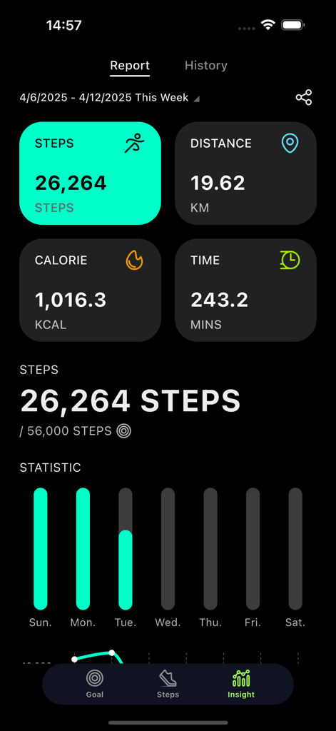 Steps: Daily Pedometer App - Dashboard showing weekly steps distance calories and activity statistics on Steps pedometer app