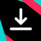 SnapTik - Tok Video Saver HD