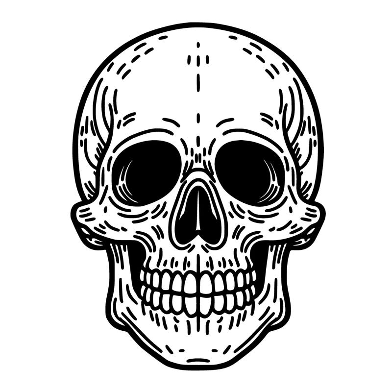 skeleton skull