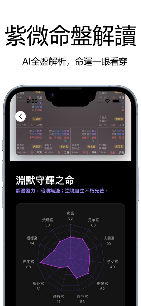 AI算命大師 - 紫微合婚,命運的答案之書 - Análisis de IA de una carta de destino Zi Wei Dou Shu y gráfico radar de aspectos de la vida