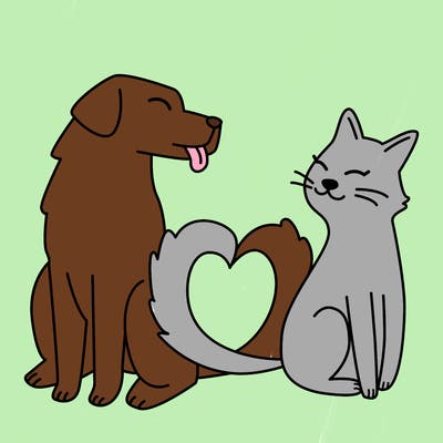 animals_22