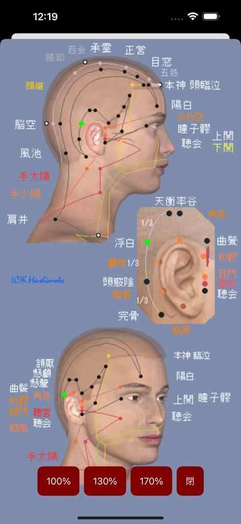 経絡ツボPRO検索 - Anatomical diagram showing acupuncture points and meridian lines on a human head with Japanese labels