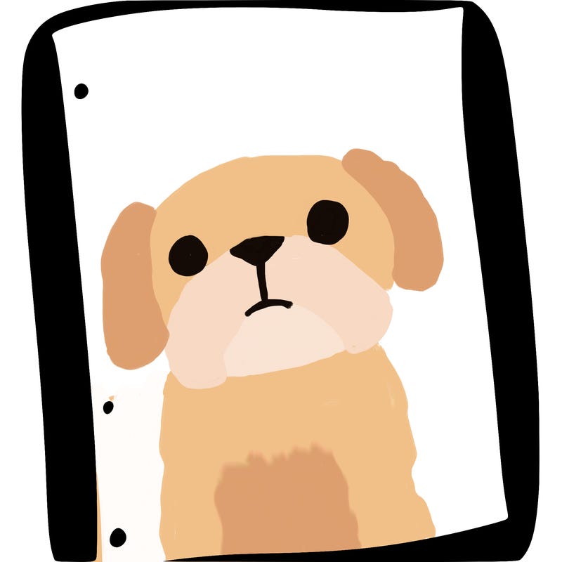 blank white page with nothing drawn on it