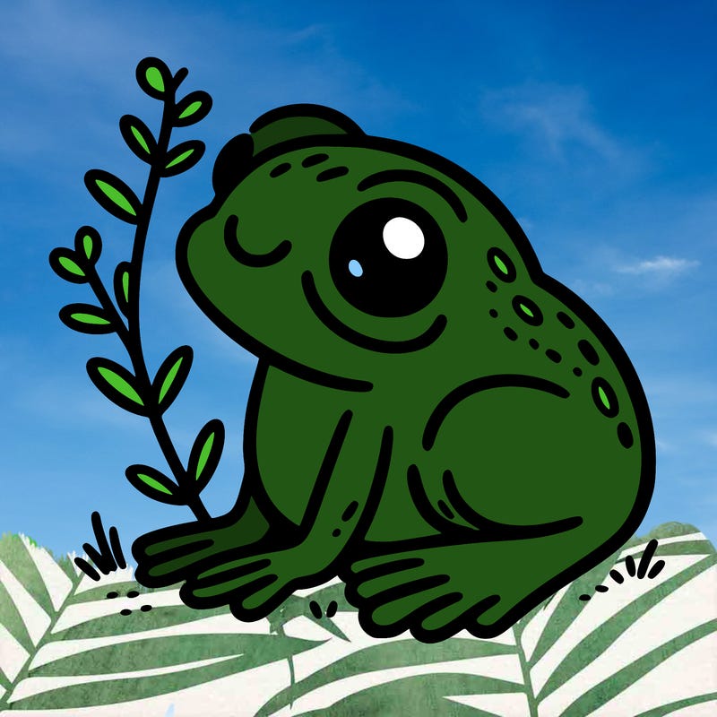 cute frog