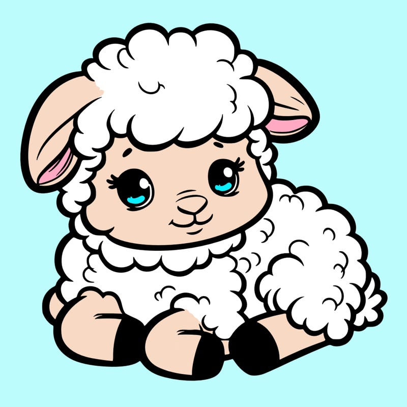 a baby sheep