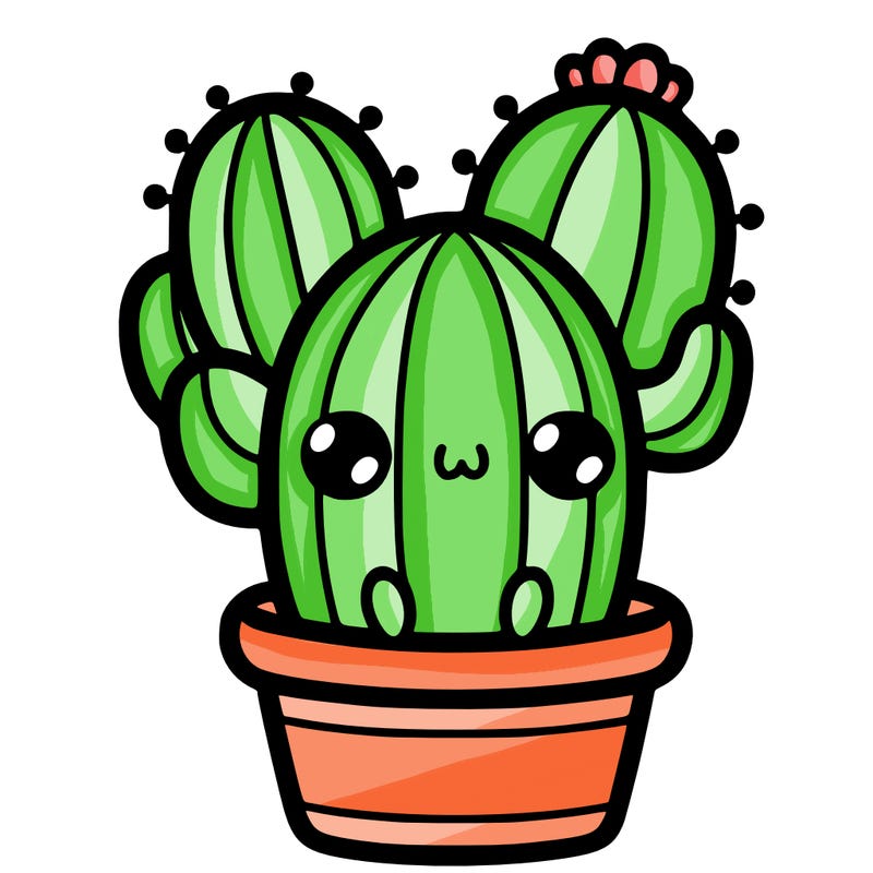 cactus kawaï