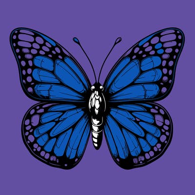 butter fly realistic