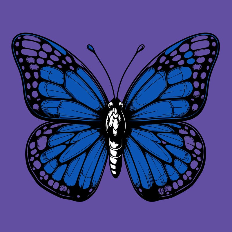 butter fly realistic