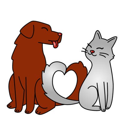 animals_22