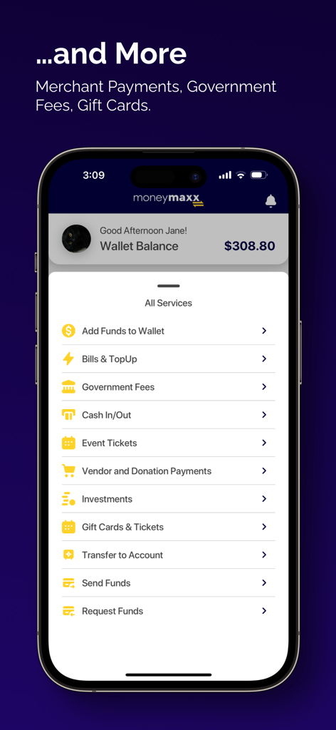MoneyMaxx - MoneyMaxx mobile Wallet App-Dashboard mit verschiedenen Diensten wie Rechnungszahlungen, staatlichen Gebühren und Peer-to-Peer-Überweisungen