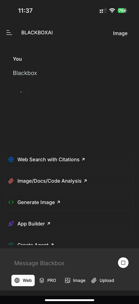 BLACKBOXAI - Interfaz de chat de la aplicación móvil BlackboxAI mostrando funciones como búsqueda web y análisis de código