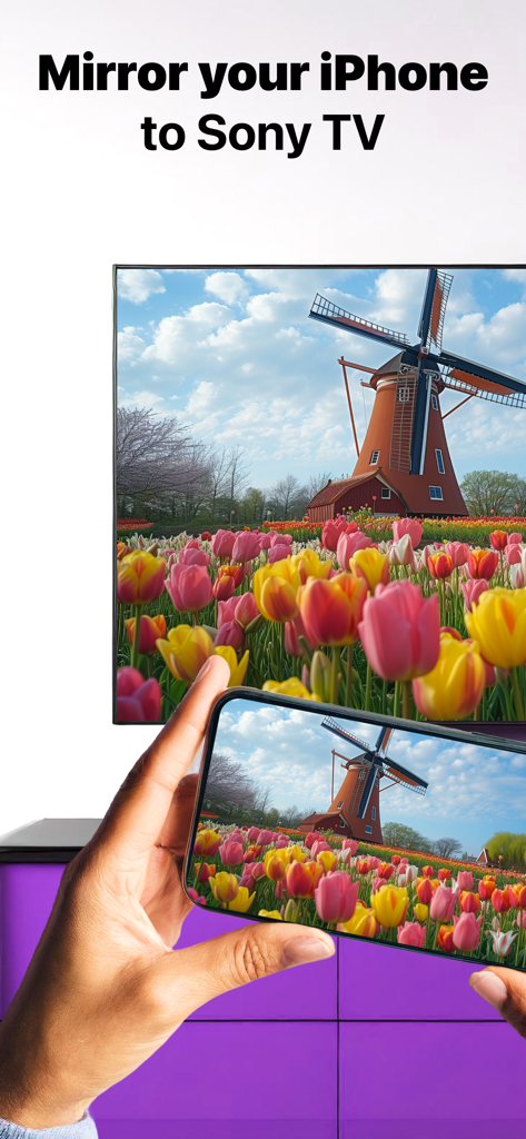 Ein iPhone, das ein Foto einer Windmühle und bunter Tulpen auf einen Sony Smart TV spiegelt