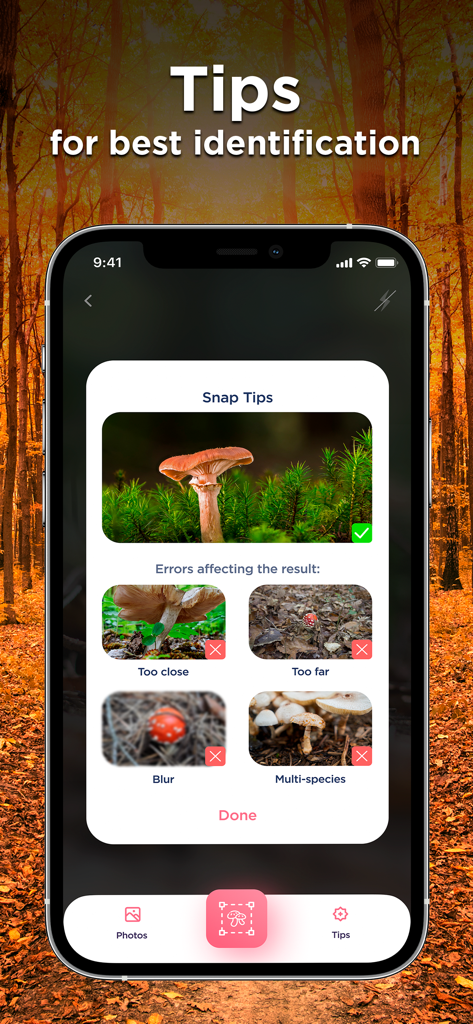 Interface de l'application Identificateur de Champignons montrant des conseils de photographie et les erreurs courantes pour une identification précise des champignons.