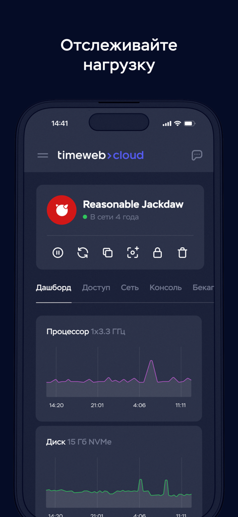 Timeweb Cloud - Timeweb Cloud mobile app interface showing real time server resource monitoring for CPU and disk usage