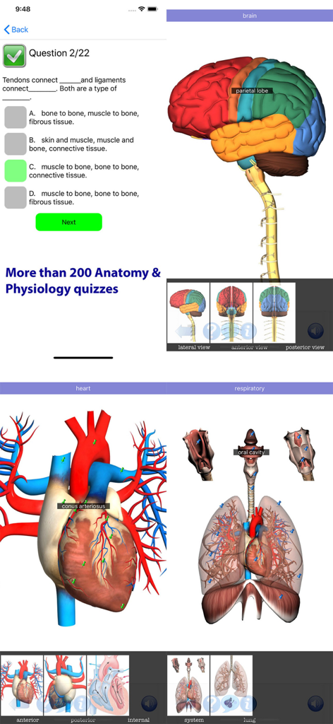 Screenshots of the Visual Anatomy app displaying medical quizzes and 3D anatomical models of the brain heart and respiratory system