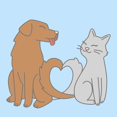 animals_22