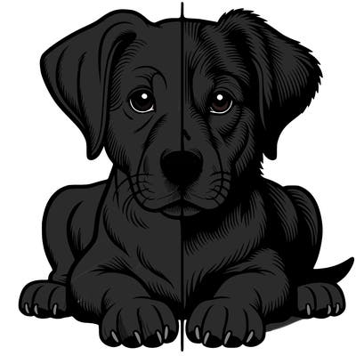 realistic dog split picture