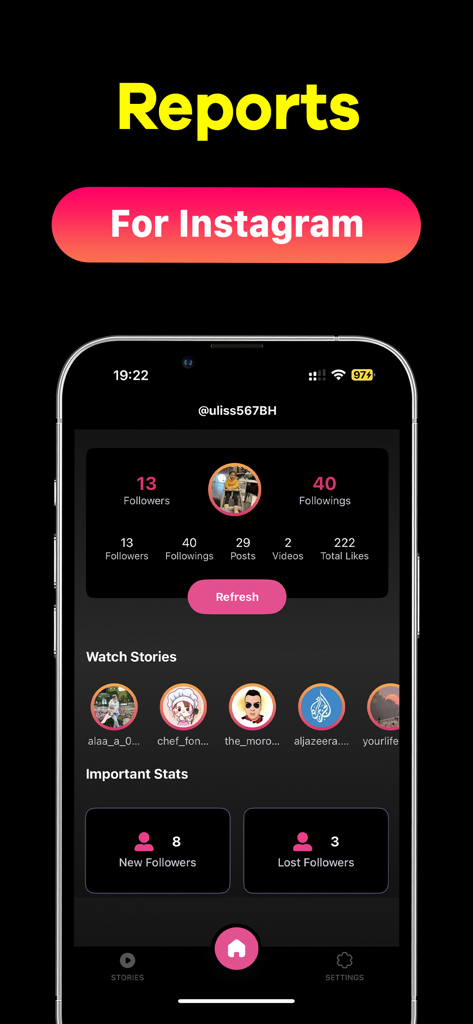 Tableau de bord de l'application Reports for Instagram affichant les statistiques des abonnés et les nouveaux abonnés par rapport aux abonnés perdus.