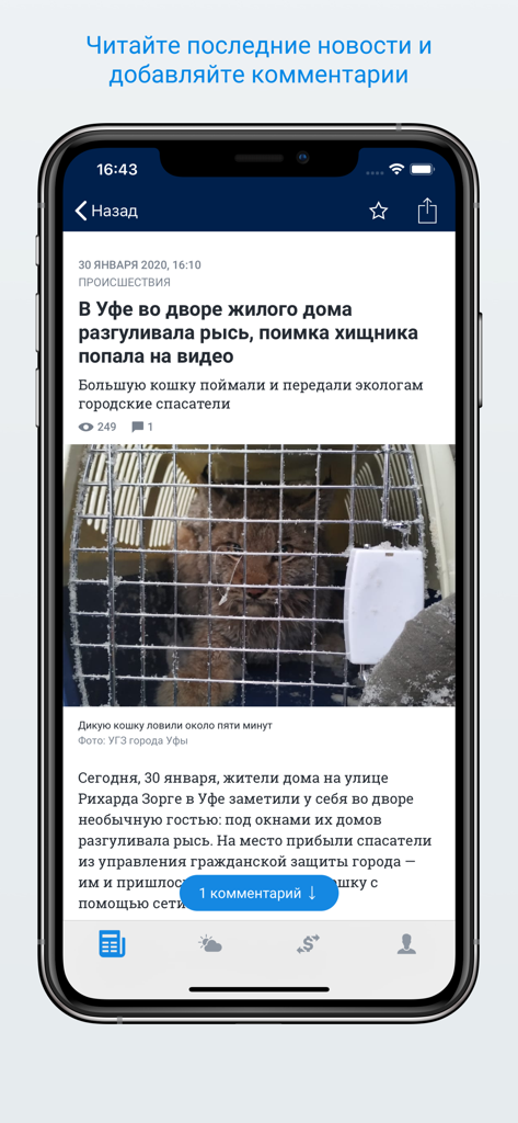 ufa1.ru – Новости Уфы - A screenshot of the ufa1.ru mobile app showing a news article about a lynx in Ufa with an image and a comment button.
