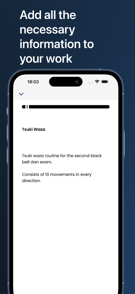 Karate Notes: Katas & Routines - iPhone screen showing karate technique notes and routines.