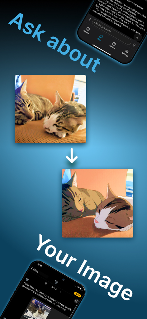 Interfaz de la aplicación Vivana AI mostrando una foto real de gatos transformándose en una ilustración estilo anime con el texto Preguntar sobre tu imagen.