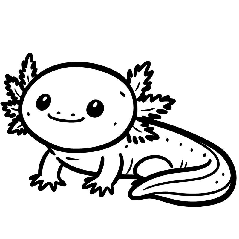 a simple axolotl