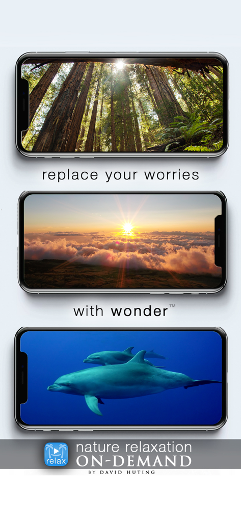 Three iPhones displaying scenic nature videos including a forest, a sunset above clouds, and dolphins swimming