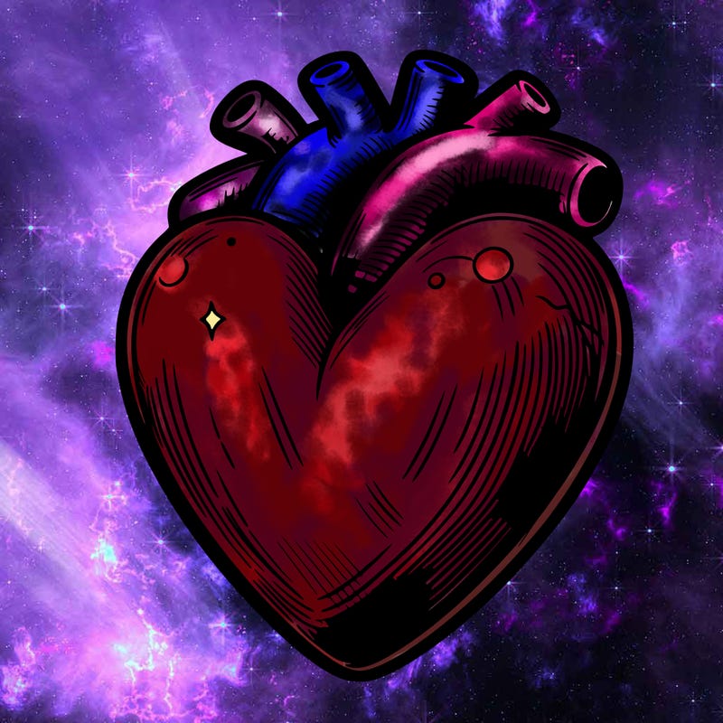 realistic heart