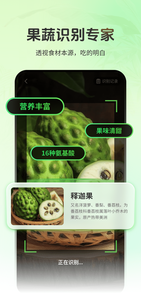 花卉识别图鉴-拍照识花，识花，认花，轻松辨别花卉品种 - Benutzeroberfläche einer mobilen App, die die KI-Identifizierung einer Zuckerapfelfrucht mit Nährwertangaben zeigt