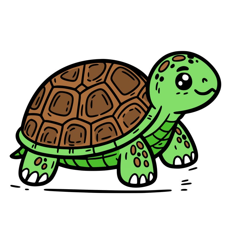 turtle