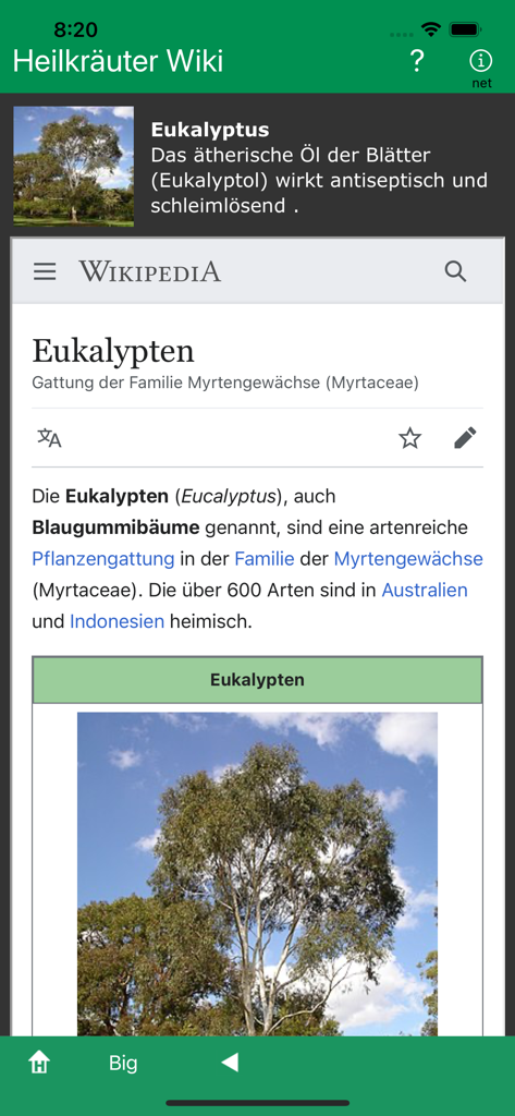 Uma captura de tela do aplicativo Heilkraeuter Wiki exibindo uma entrada botânica para Eucalipto com texto descritivo e imagens.