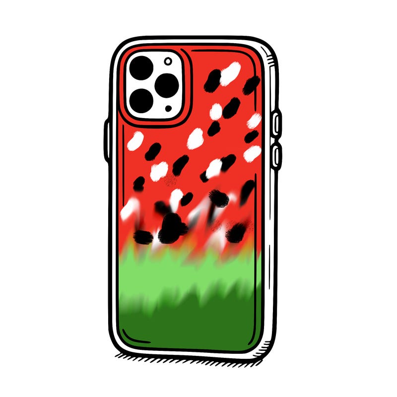 phone case