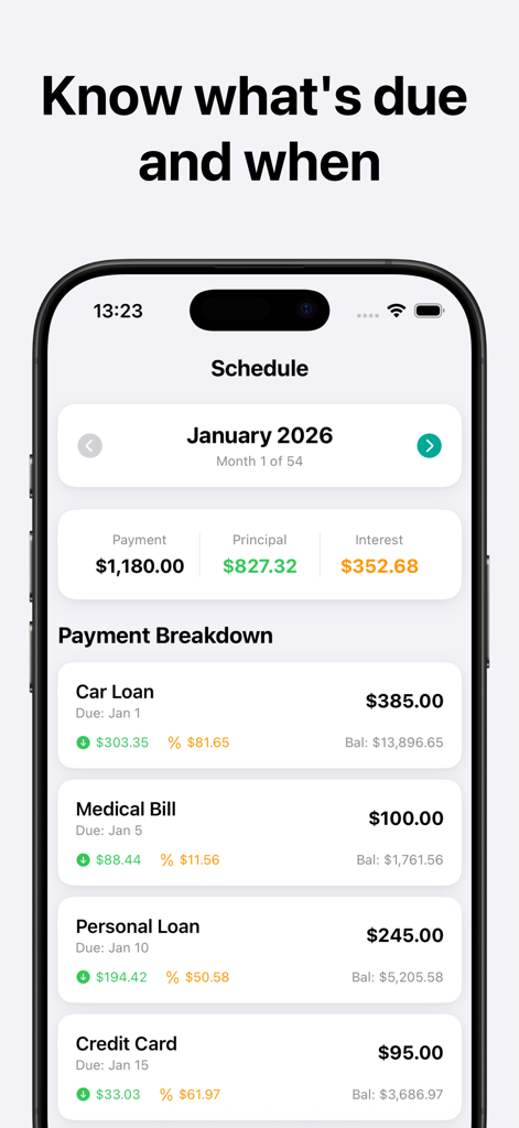 Debt Payoff Tracker & Planner - Monthly debt payoff schedule showing payment breakdown for car loan medical bill and credit cards